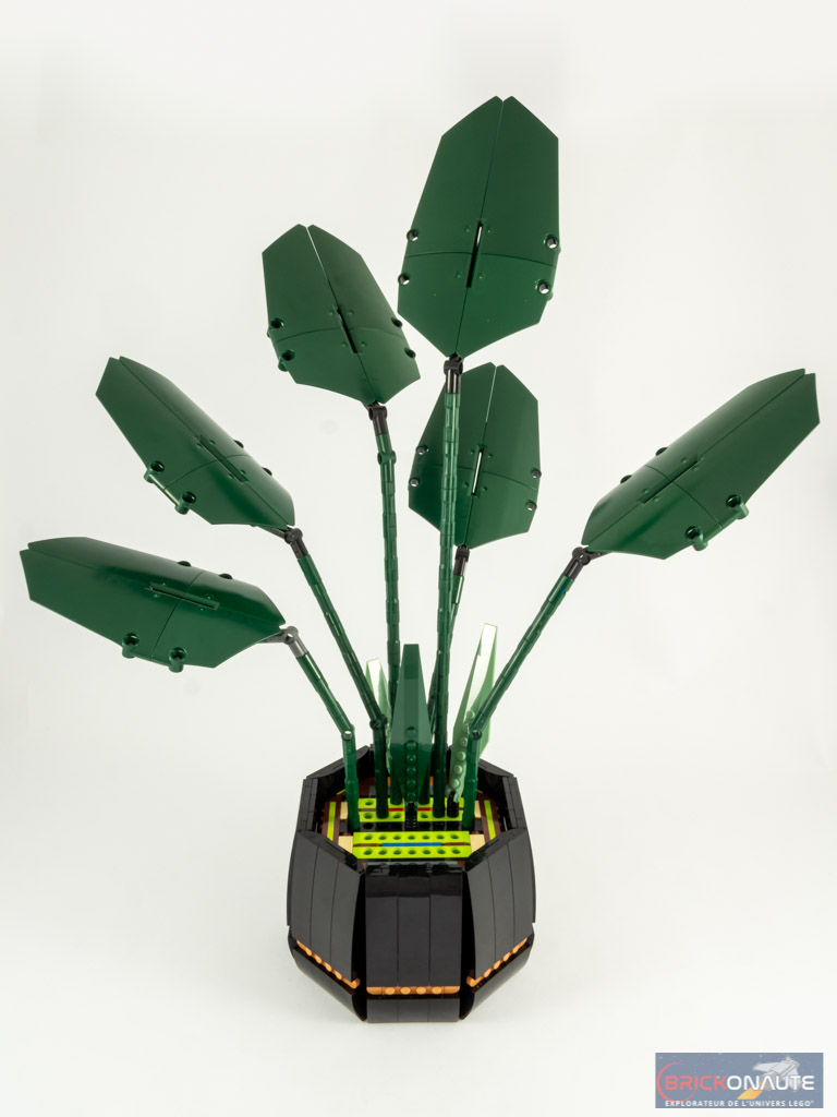 L'oiseau de paradis - LEGO® Botanical Collection 10289 - Super Briques