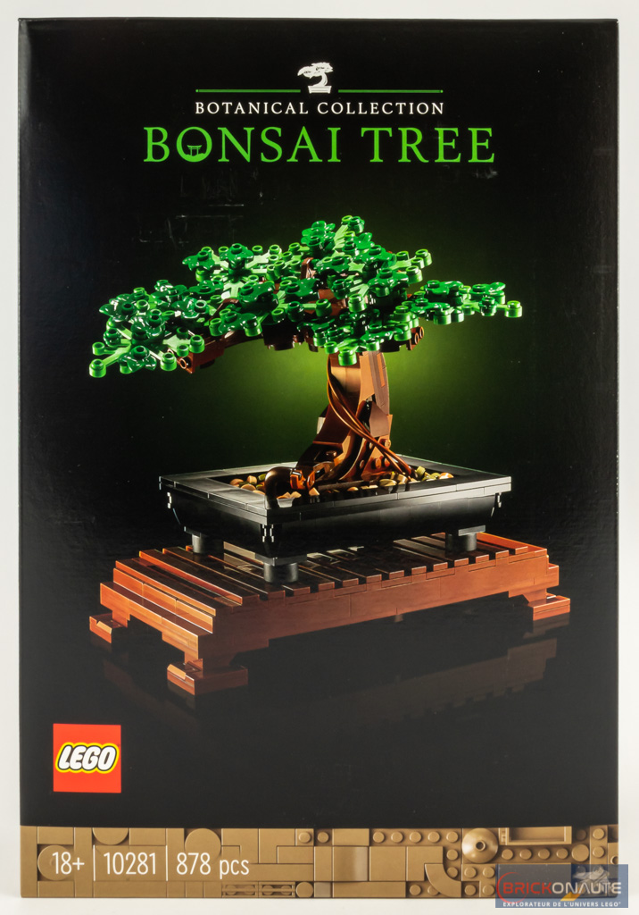 LEGO® Bonsaï  Boutique LEGO® officielle FR