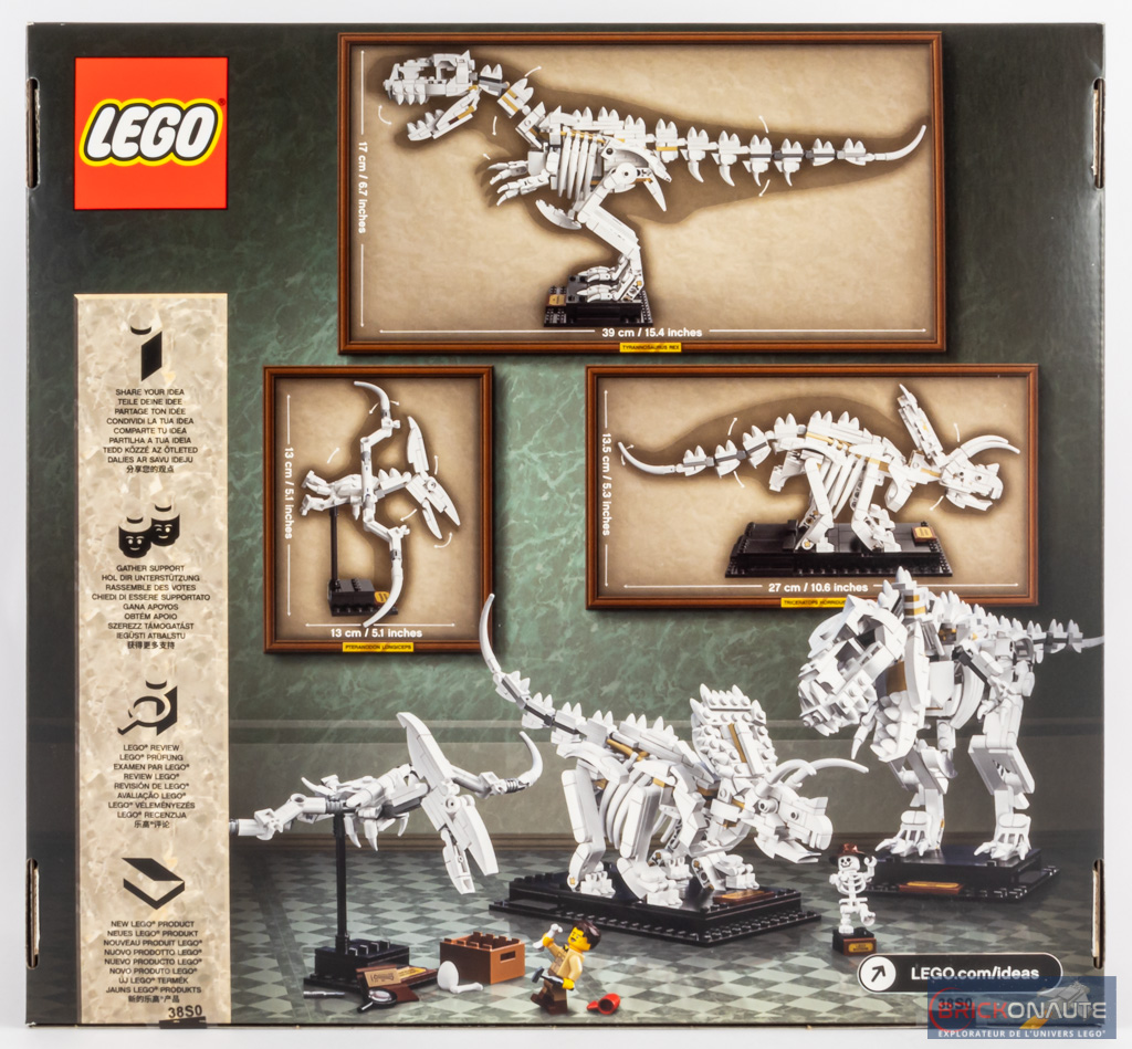 Dinosaur Fossils (LEGO Ideas - 21320) - Review - Brickonaute