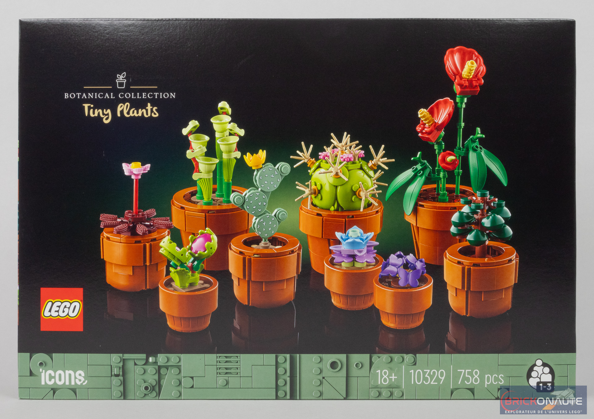 Review LEGO Icons Botanical Collection 10329 Tiny Plants - Brickonaute