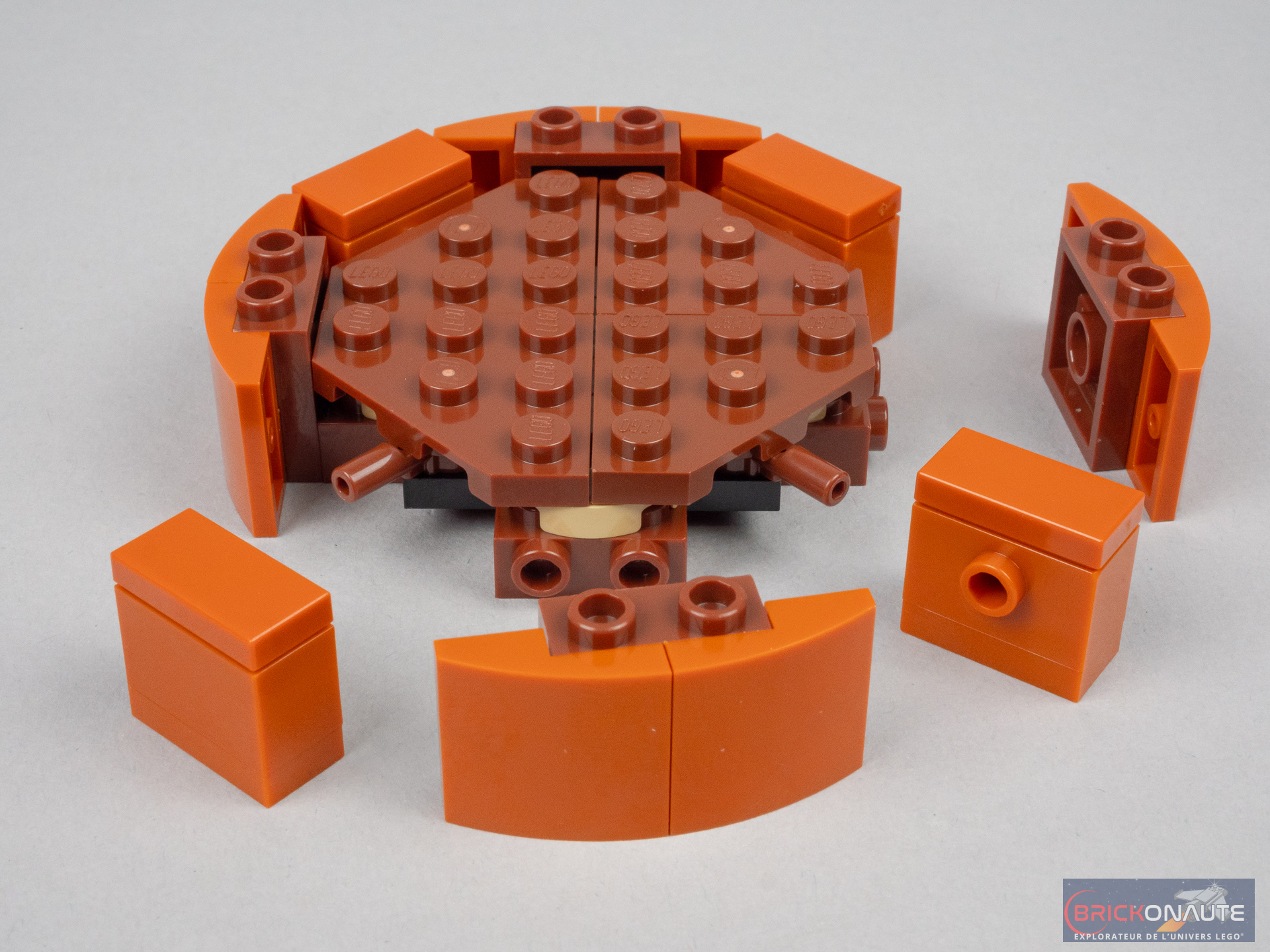 10329 - LEGO® Icons - Les plantes miniatures LEGO : King Jouet, Lego,  briques et blocs LEGO - Jeux de construction