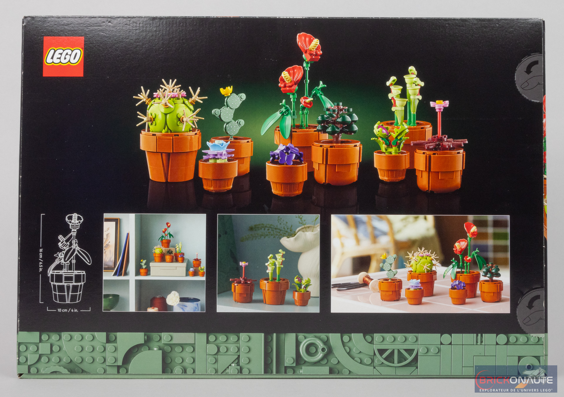 Lego Icons Les Plantes Miniatures (10329)