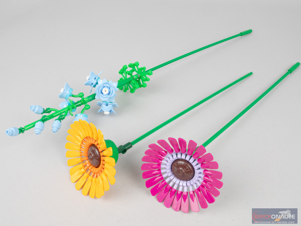 Test: LEGO® Icons 10313 Bouquet de fleurs sauvages et 10314 Le