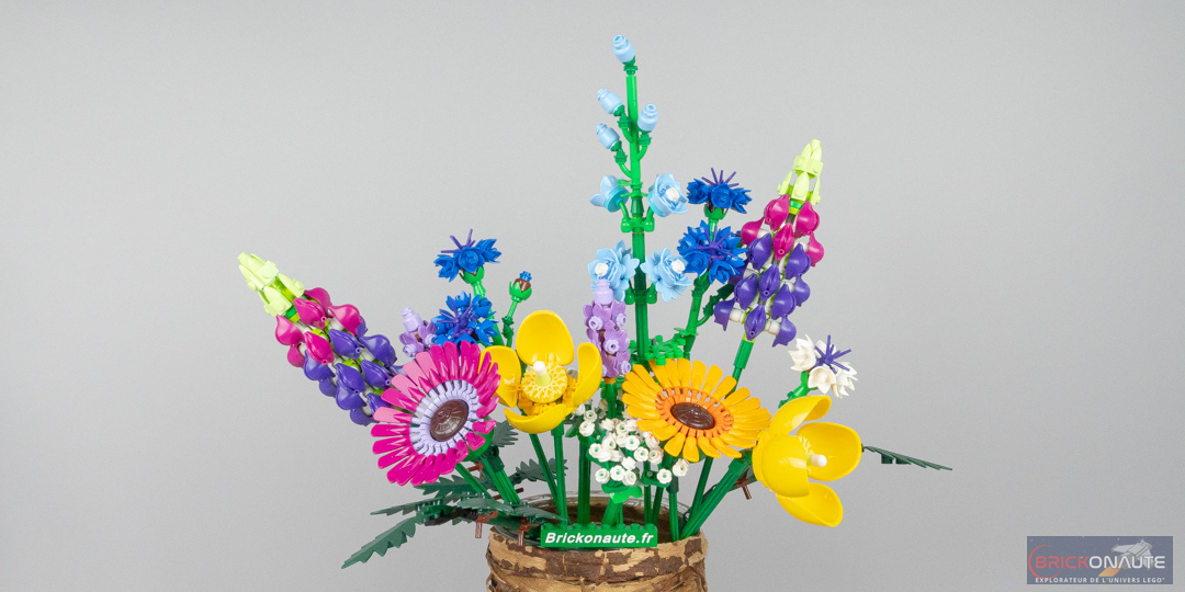 LEGO - Le bouquet de fleurs sauvages - Assemblage et construction