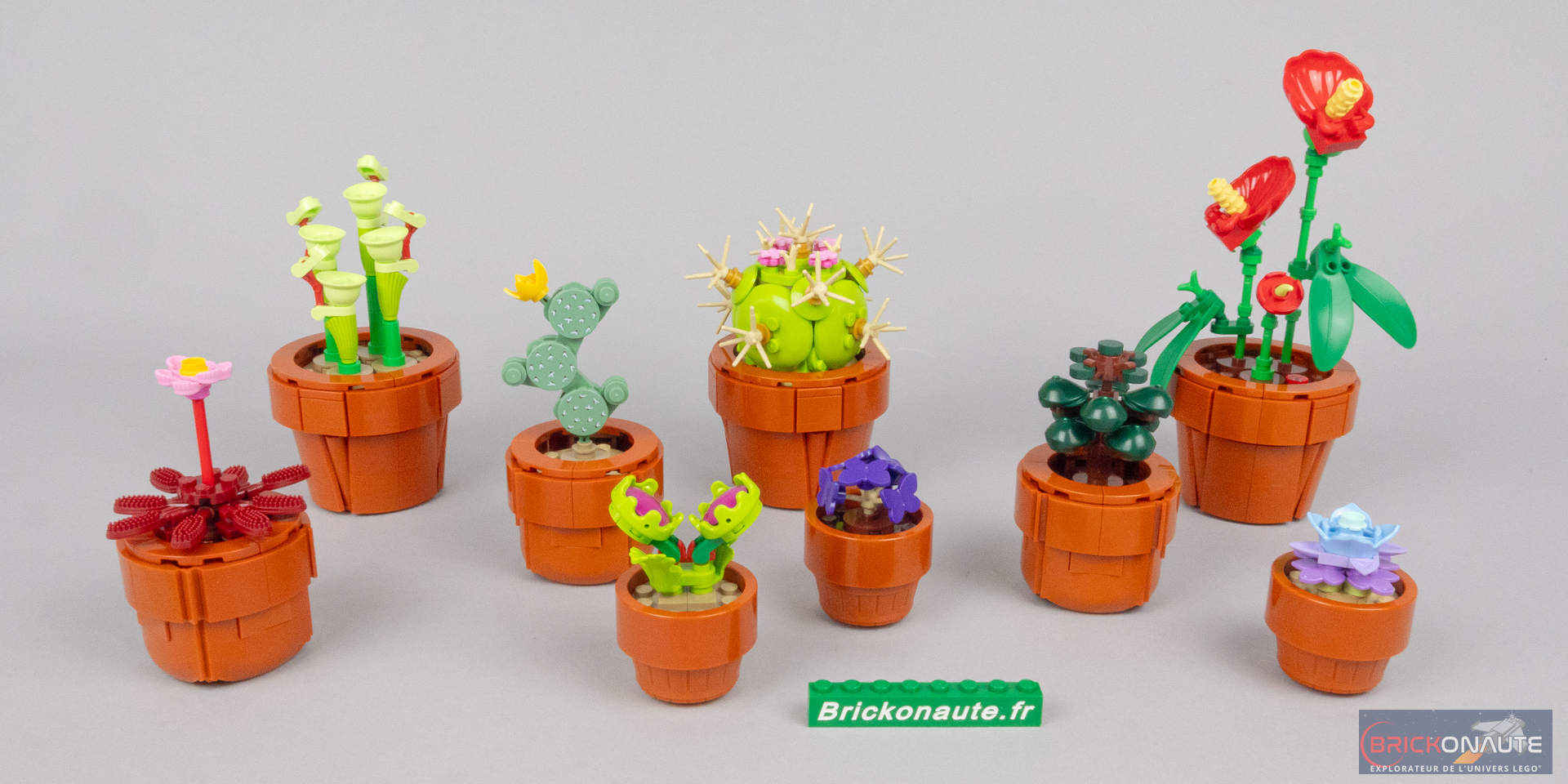 Review LEGO Icons Botanical Collection 10329 Tiny Plants - Brickonaute
