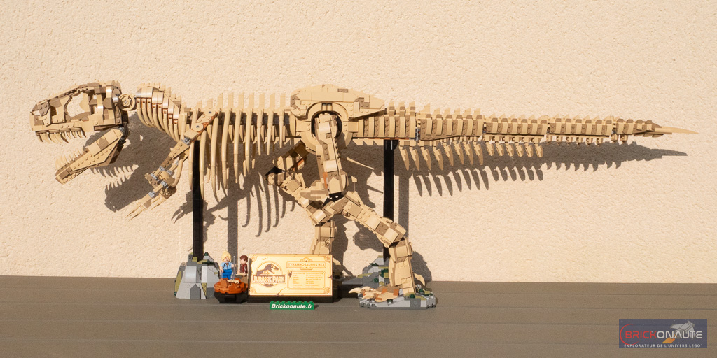Review LEGO Jurassic World 76968 Dinosaur Fossils: Tyrannosaurus rex ...