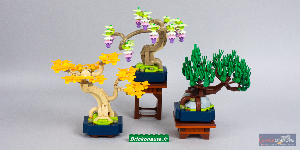 Micro-review LEGO Botanicals 10373 Mini Bonsai Trees - Brickonaute
