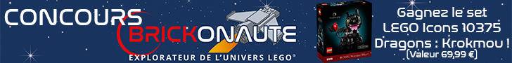 Concours Brickonaute