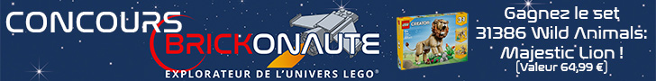 Concours Brickonaute